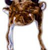 Bonnet vache