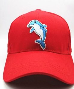 Casquette Dauphin