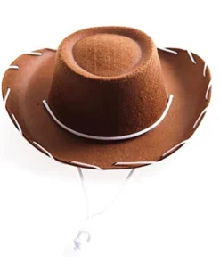 Chapeau Woody Toy Story Enfant